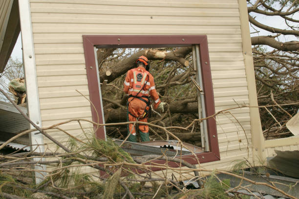 Leaf Removal in Palmer Heights, PA